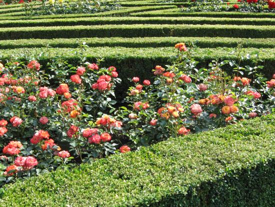 jardin du roi (Pologne)